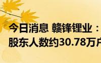 今日消息 赣锋锂业：截至8月10日，公司A股股东人数约30.78万户