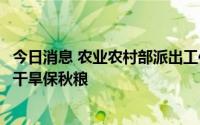 今日消息 农业农村部派出工作组和科技小分队指导防范高温干旱保秋粮