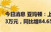 今日消息 亚玛顿：上半年归母净利润4298.63万元，同比增84.65%