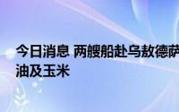 今日消息 两艘船赴乌敖德萨港运粮，将装载7000吨葵花籽油及玉米