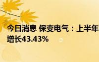 今日消息 保变电气：上半年归母净利润1101.71万元，同比增长43.43%