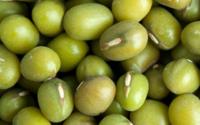 绿豆是一种营养丰富的食物可预防退行性疾病