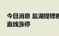 今日消息 盐湖提锂板块快速拉升，西藏珠峰直线涨停