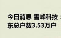 今日消息 雪峰科技：截至8月10日，公司股东总户数3.53万户