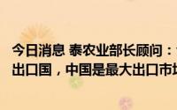 今日消息 泰农业部长顾问：今年上半年泰国为全球头号橡胶出口国，中国是最大出口市场