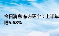 今日消息 东方环宇：上半年归母净利润8165.95万元，同比增5.68%
