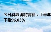 今日消息 海特高新：上半年归母净利润2684.71万元，同比下降96.05%