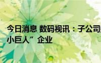 今日消息 数码视讯：子公司数码软件入选国家级专精特新“小巨人”企业