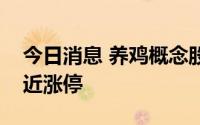 今日消息 养鸡概念股震荡走高，华统股份接近涨停