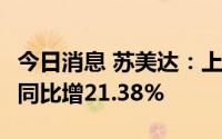 今日消息 苏美达：上半年归母净利4.53万元，同比增21.38%