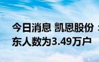 今日消息 凯恩股份：截至8月10日，公司股东人数为3.49万户