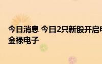 今日消息 今日2只新股开启申购：科创板宣泰医药、创业板金禄电子