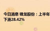 今日消息 锋龙股份：上半年归母净利润3493.53万元，同比下滑28.42%