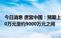 今日消息 唐宫中国：预期上半年公司拥有人应占亏损约8000万元至约9000万元之间