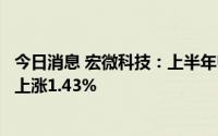 今日消息 宏微科技：上半年归母净利润3224.27万元，同比上涨1.43%