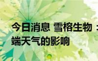 今日消息 雪榕生物：公司工厂化生产不受极端天气的影响