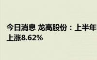 今日消息 龙高股份：上半年归母净利润4998.45万元，同比上涨8.62%