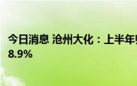 今日消息 沧州大化：上半年归母净利润1.59亿元，同比下滑8.9%