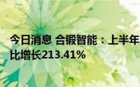 今日消息 合锻智能：上半年归母净利润约6555.46万元，同比增长213.41%