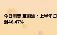 今日消息 宝丽迪：上半年归母净利润3047.98万元，同比下滑46.47%