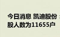 今日消息 凯迪股份：截至8月10日，公司持股人数为11655户