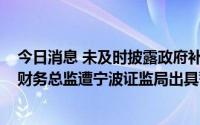今日消息 未及时披露政府补助事项，长鸿高科及公司董秘、财务总监遭宁波证监局出具警示函