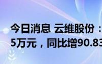 今日消息 云维股份：上半年归母净利1519.15万元，同比增90.83%