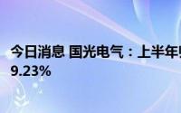 今日消息 国光电气：上半年归母净利润1.1亿元，同比上涨39.23%