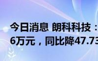 今日消息 朗科科技：上半年归母净利2246.16万元，同比降47.73%