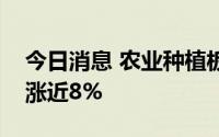 今日消息 农业种植板块异动拉升，农发种业涨近8%