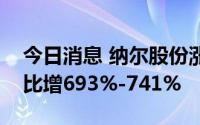 今日消息 纳尔股份涨停，预计上半年净利同比增693%-741%