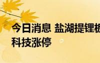 今日消息 盐湖提锂板块午后迅速回暖，东华科技涨停