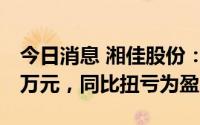 今日消息 湘佳股份：上半年归母净利487.61万元，同比扭亏为盈