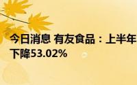 今日消息 有友食品：上半年归母净利润6097.35万元，同比下降53.02%