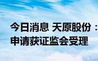 今日消息 天原股份：拟定增募资不超20亿元申请获证监会受理