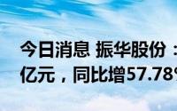 今日消息 振华股份：上半年归母净利润2.43亿元，同比增57.78%
