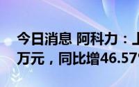 今日消息 阿科力：上半年归母净利7469.83万元，同比增46.57%