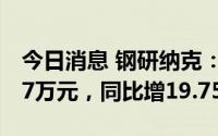 今日消息 钢研纳克：上半年归母净利4691.67万元，同比增19.75%