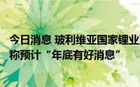 今日消息 玻利维亚国家锂业两个盐滩锂勘探取得进展，总裁称预计“年底有好消息”