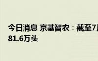 今日消息 京基智农：截至7月末，已交付育肥场栏位规模约81.6万头