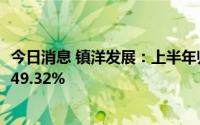今日消息 镇洋发展：上半年归母净利润2.46亿元，同比增长49.32%