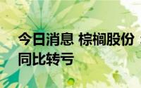 今日消息 棕榈股份：上半年亏损2.83亿元，同比转亏