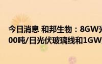 今日消息 和邦生物：8GW光伏封装材料及制品项目一期1000吨/日光伏玻璃线和1GW组件产线已经开始试生产