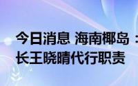 今日消息 海南椰岛：总经理冯彪辞职，董事长王晓晴代行职责