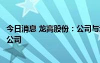 今日消息 龙高股份：公司与汀瑞矿业共同出资设立合资矿业公司