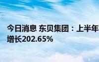 今日消息 东贝集团：上半年归母净利润6903.69万元，同比增长202.65%
