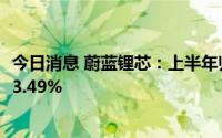 今日消息 蔚蓝锂芯：上半年归母净利润3.51亿元，同比增长3.49%