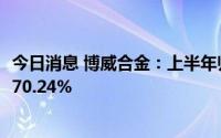 今日消息 博威合金：上半年归母净利润2.77亿元，同比上涨70.24%