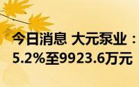 今日消息 大元泵业：上半年归母净利同比涨35.2%至9923.6万元