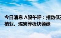 今日消息 A股午评：指数低开高走，创业板指涨1.19%，种植业、煤炭等板块领涨